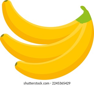 Vector illustration, on a transparent background, of a bunch of three bananas. Yellow banana fruits. Group of three ripe bananas.