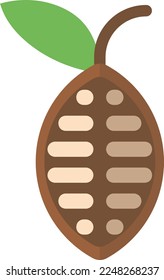 Vector illustration on transparent background, of fruit of cocoa plant. Cocoa beans, chocolate production. 