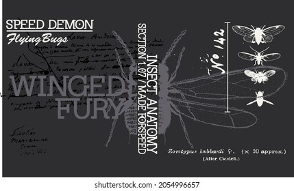 Vector illustration on various beetles, elements for design.