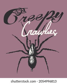 Vector illustration on various beetles, elements for design.