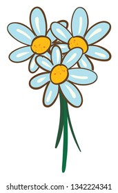 Vector illustration on white background of a bouquet of daisies 