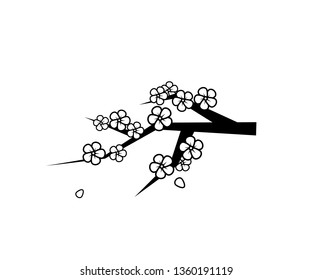 Vector illustration on the white
background - sakura.
