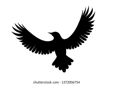 Vector illustration on the white
background - black silhouette of a bird.
