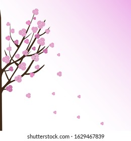 Vector illustration on white background ,Japanese sakura flowers