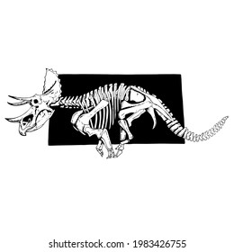 Vector illustration on the white background, contoured dinosaur skeleton drawn by hand with pens