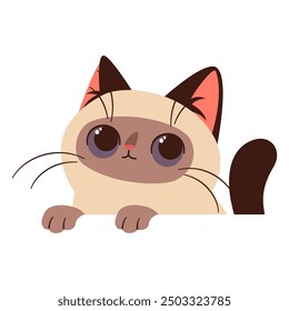 Vector illustration on white background in children's style. Cute Siamese kitten looks out from behind white banner