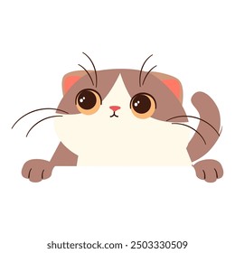 Vector illustration on white background in children's style. Cute lop-eared Scottish kitten looks out from behind white banner