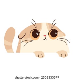 Vector illustration on white background in children's style. Cute lop-eared Scottish kitten looks out from behind white banner