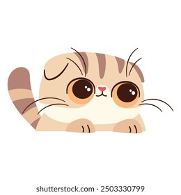 Vector illustration on white background in children's style. Cute lop-eared Scottish kitten looks out from behind white banner