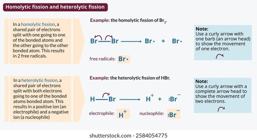 Vector illustration on a white background of homolytic fission and heterolytic fission