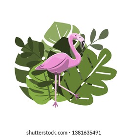 vector illustration of one beautiful pink flamingos,tropical animals,wild birds,on the background of exotic green leaves monstera, isolated on white background
