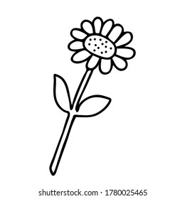 Vector illustration of one black chamomile flower isolated on a white background