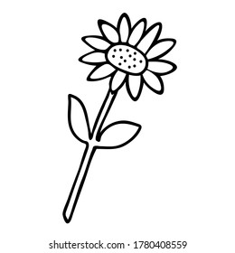 Vector illustration of one black sunflower flower isolated on a white background