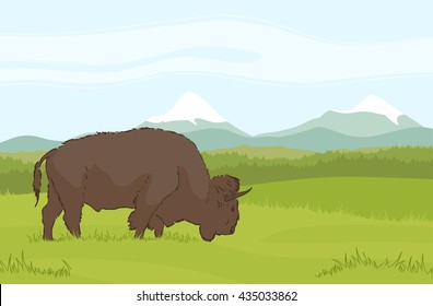 Vector illustration: One buffalo on natural mountains background. Landscape