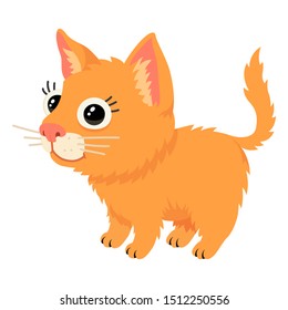 Vector illustration of one cute cartoon cat with big head and child eyes. Isolated on white background.