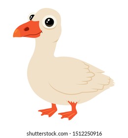 Vector illustration of one cute cartoon goose with big head and child eyes. Isolated on white background.