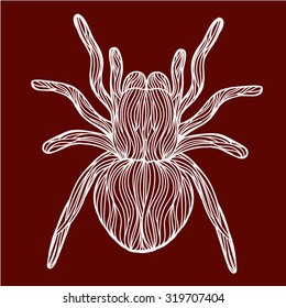Vector illustration of one drawn from white lines halloween holiday symbol of tarantula spider on brown background