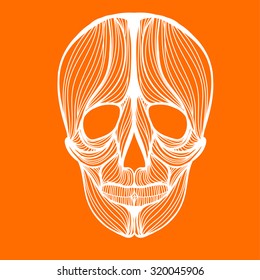 Vector illustration of one drawn from white lines halloween holiday or pirate symbol of skull on orange background