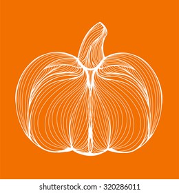 Vector illustration of one drawn from white lines halloween holiday pumpkin or cinderella's vegetable on orange background