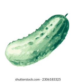 Ilustración vectorial de un pepino verde fresco aislado en un fondo blanco