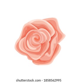 Ilustración vectorial de una suave flor rosa rosada. Cabezal de flor chic de Shabby con pétalos para etiquetas, tarjetas e invitaciones de boda