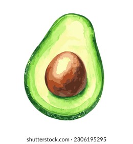 Eine Vektorgrafik eines grünen Avocado einzeln auf weißem Hintergrund