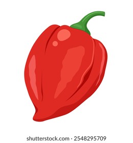 Ilustração vetorial de um habanero