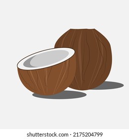 Ilustración vectorial de un coco marrón y medio aislado sobre fondo blanco