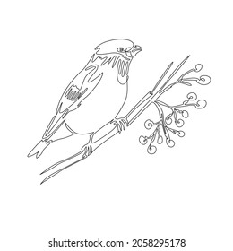 Vector illustration with one line. Bullfinch on a twig with mountain ash in winter. Suitable for postcards, design and decorative work, in the form of a print, website design.