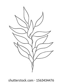 Vector illustration of one line drawing abstract plant. Hand drawn modern minimalistic design for creative logo, icon or emblem