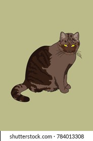 vector illustration of one of my cats, sitting and watching
