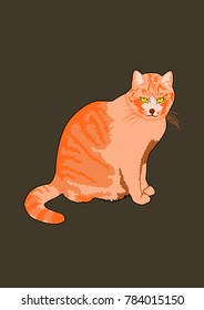 vector illustration of one of my cats, sitting and watching