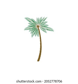 Vector Illustration of one Palm Trees
