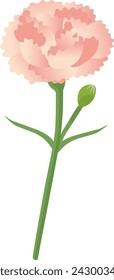 Vector illustration of one simple carnation