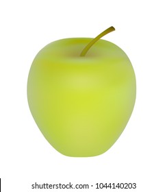 Vector illustration, one whole ripe green realistic apple with tail isolated on white background