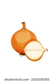 Vector illustration of an onion bulb and a cut onion on a white background. Stock illustration.