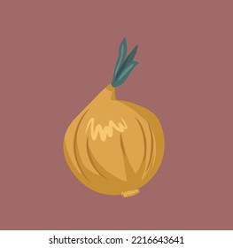 
Vector Illustration of an Onion Bulb Vegetable. Food ingredient used in the kitchen for flavor and spice 
