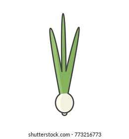Vector illustration of onion. Flat, color. Vivid picture of a vegetable.  Fresh food