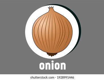 Vector illustration of an onion with gray background