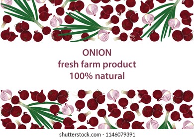 vector illustration of onion and green part design background white and vegetable and text fresh farm product 100% natural EPS10