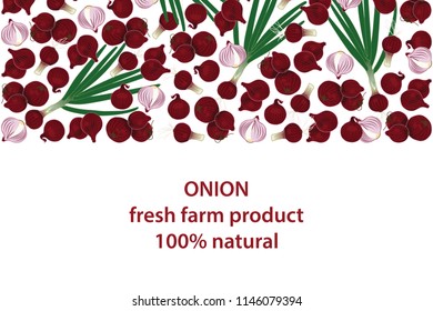 vector illustration of onion and green part design background white and vegetable and text fresh farm product 100% natural EPS10