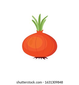 Vector illustration of onion - Vector isolated icons illustration