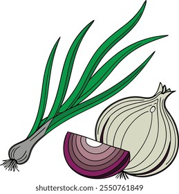 Vector illustration of an onion with onion leaves