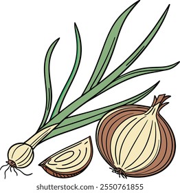 Vector illustration of an onion with onion leaves