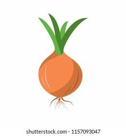 Vector illustration of onion. Single element. Flat style. Isolated on white