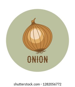 Vector illustration with onion with title on circle background
