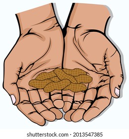 Vector illustration of open hand with several peanut on white background. Grab some nuts day. A bunch of peanut. Protein source. Body part. Human hands. Food and snack. Healthy snack. Healthy food.
