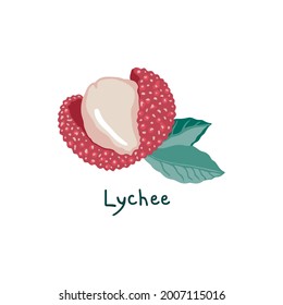 Vector illustration of opened lychee fruit. Chinese plum juicy pulp, bright rind and leaves. Isolated on white background. 