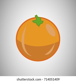 Vector illustration of orange.