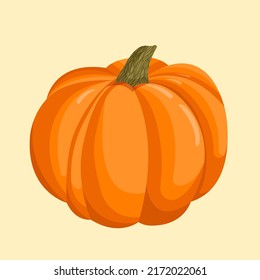 Vector illustration of an orange autumn pumpkin.